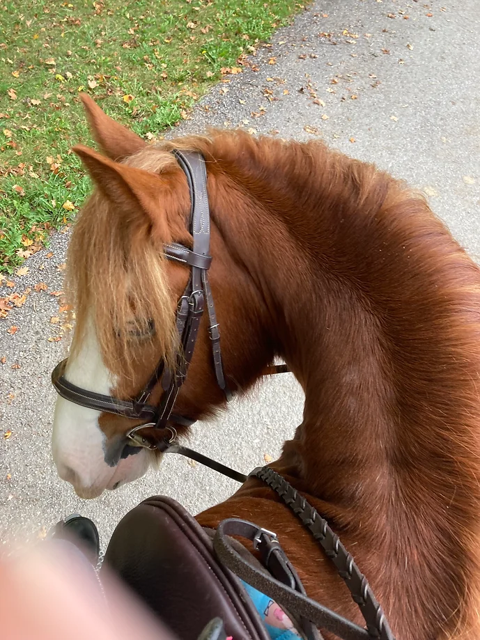 e7929c_2f0e796a46bf4336ae799ca396f1a248~mv2