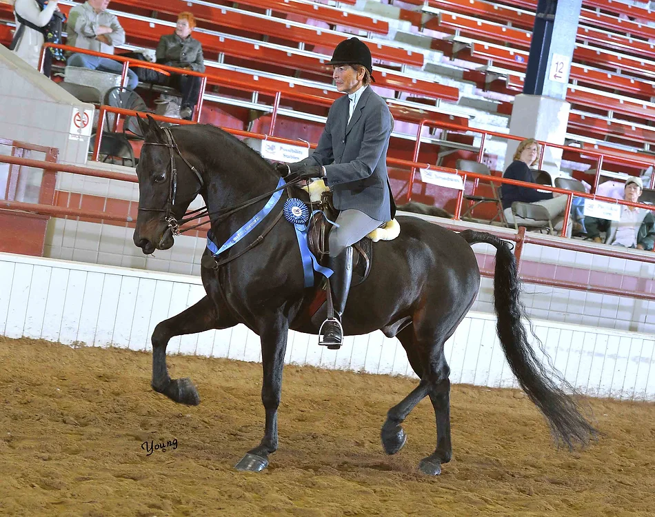 e7929c_6fe6759bb3d54c5cb67bfb73d4379b12