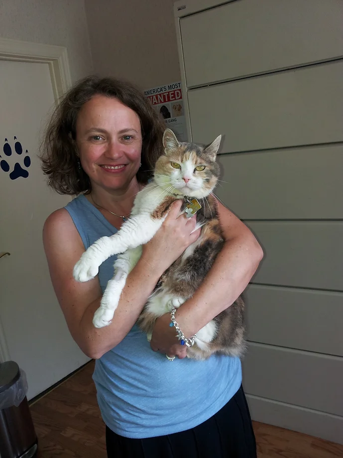 Animal Chiropractic